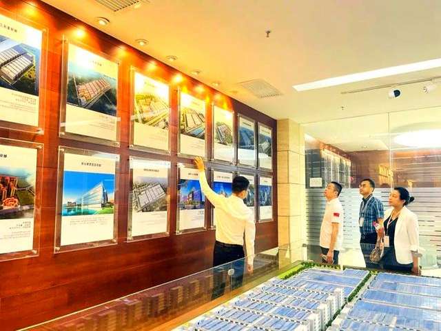 运城梨树树苗收购价格